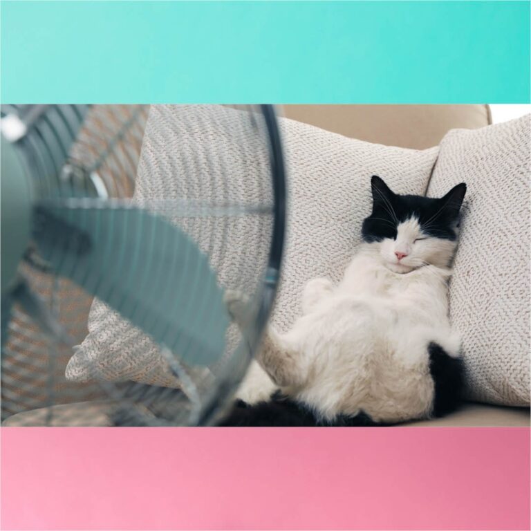 Instagram post from vsbinfo. This post is in position 16.